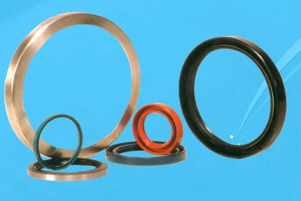 Oil Seals & O-Rings